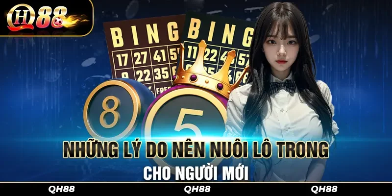 Những lý do nên nuôi lô trong cho người mới
